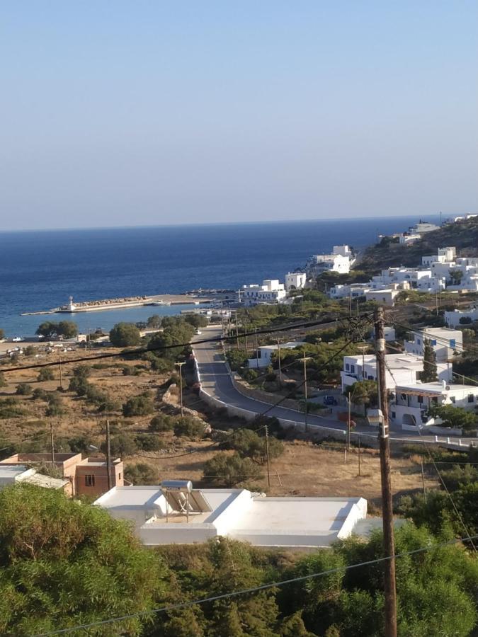 Lucas B Panorama * Alopronia